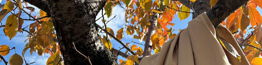 デポトップ画像